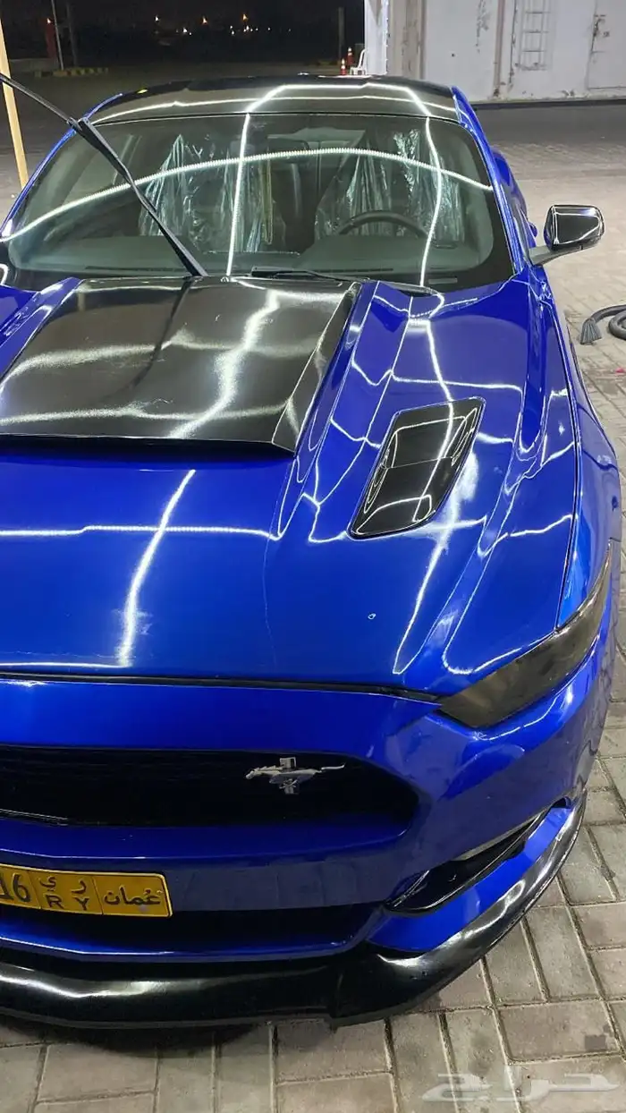 موستنق 5.0 قير عادي ( عمان ) 1