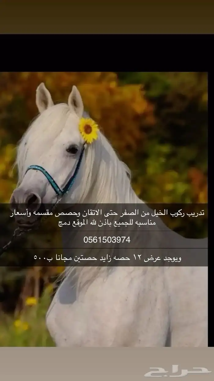 تدريب ركوب الخيل 0