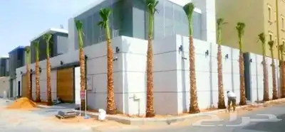 نخل للبيع جميع الأنواع متوفره وجميع المقاسات وباسعار مناسبه index