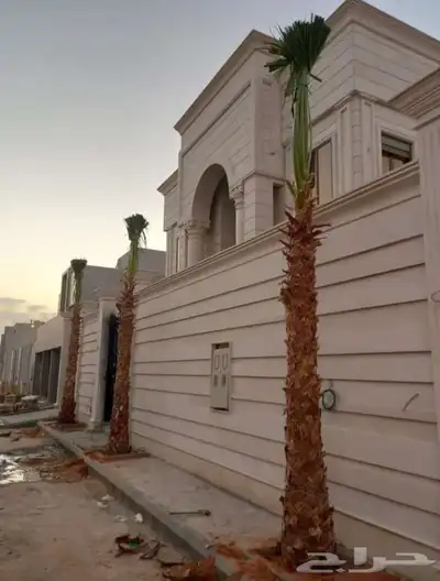 ابوالزام تريد النخيل العربي والواشنطن اتواصل index