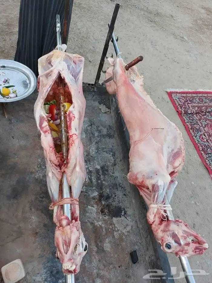 مطعم الخير يقدم خروف سيخ على الجمر 1 خروف مشوي   2   دجاج مش 6