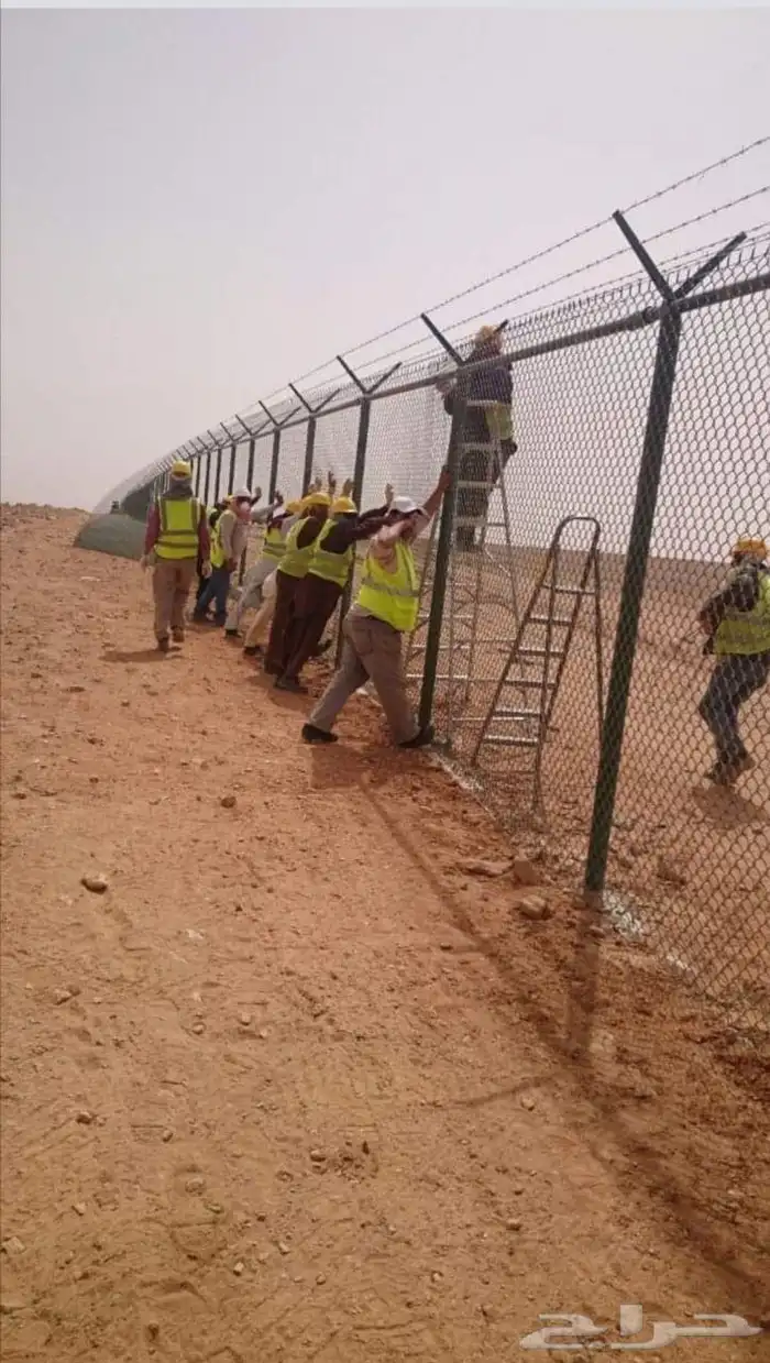 شبوك وزياج حكوميه وحضايردواجن 4