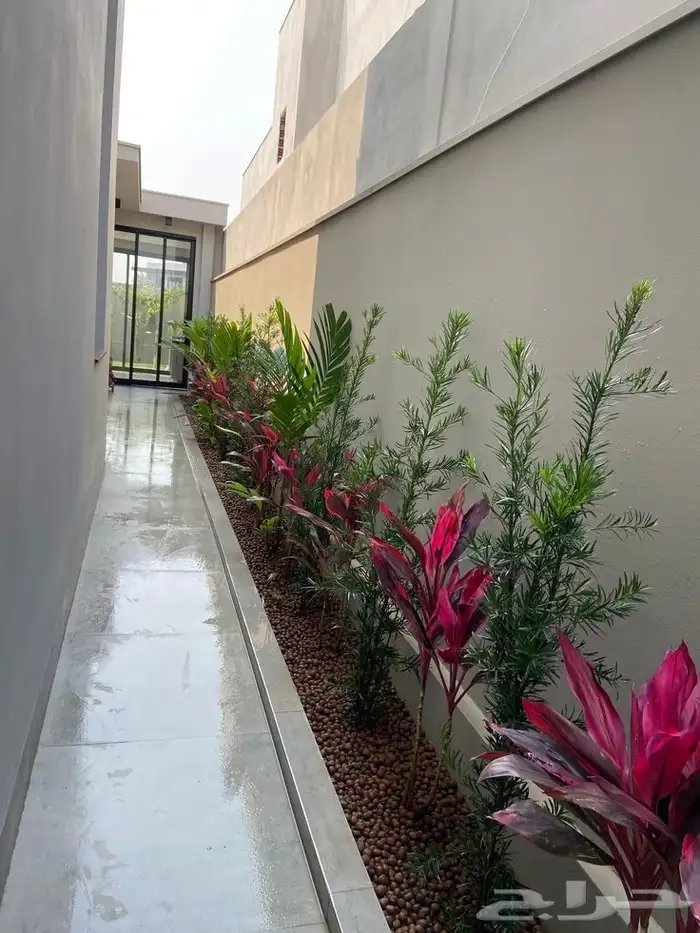 مهندس زراعي متخصص في تنسيق الحدائق وزراعة الأشجار والفلل 4