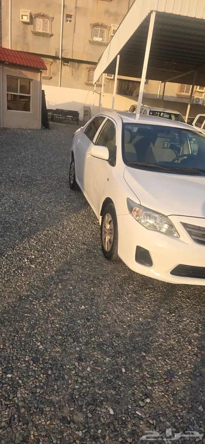 كورلا 2013 المجاردة 10