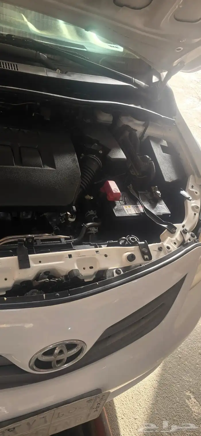 كورلا 2013 المجاردة 1