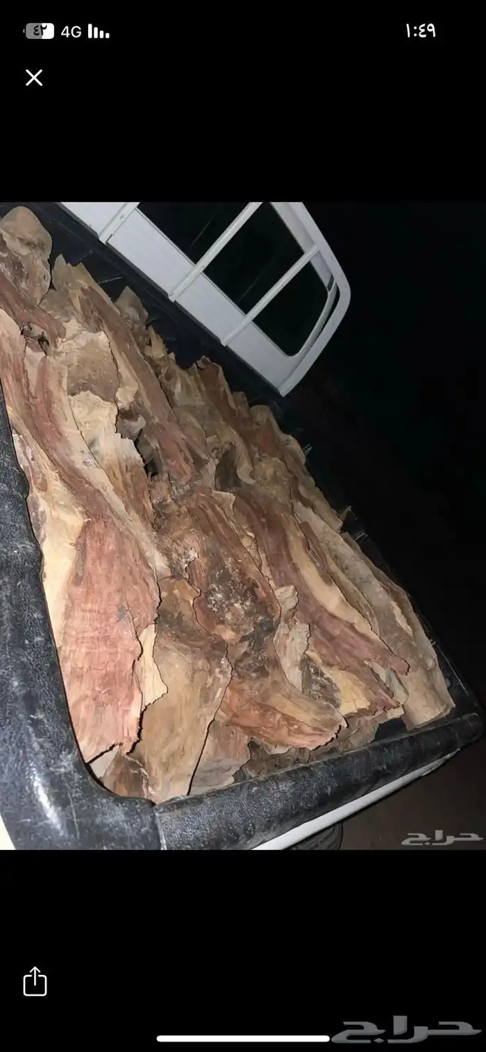 صندوق غماره شلايخ 0