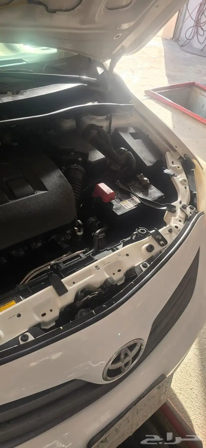 كورلا 2013 المجاردة 5