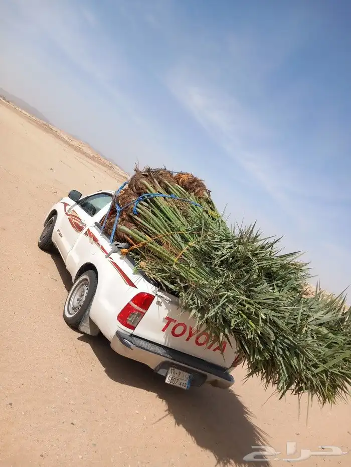 هاذ من تنفيذ أعمالنا لتواصل 6