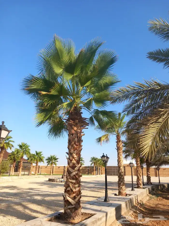 هاذ من تنفيذ أعمالنا لتواصل 1