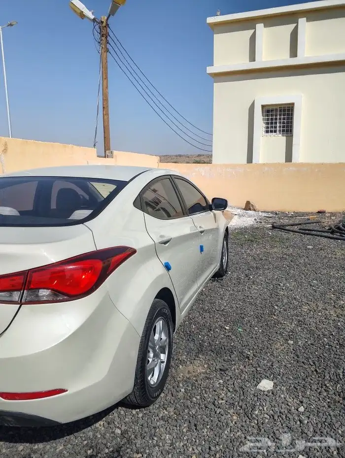 النتراء 2016 5