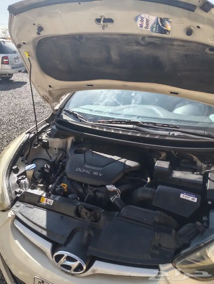 النتراء 2016 1