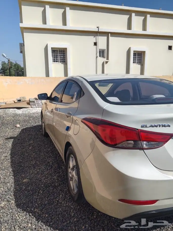 النتراء 2016 4