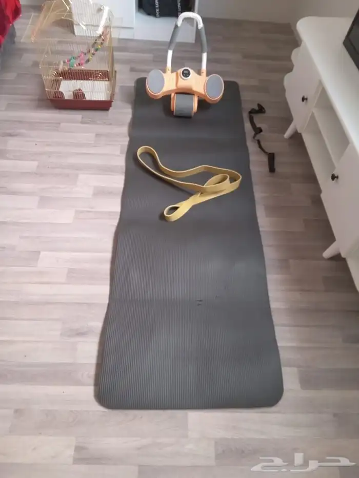 اكسسوارات ببغاء كروان وروز 0