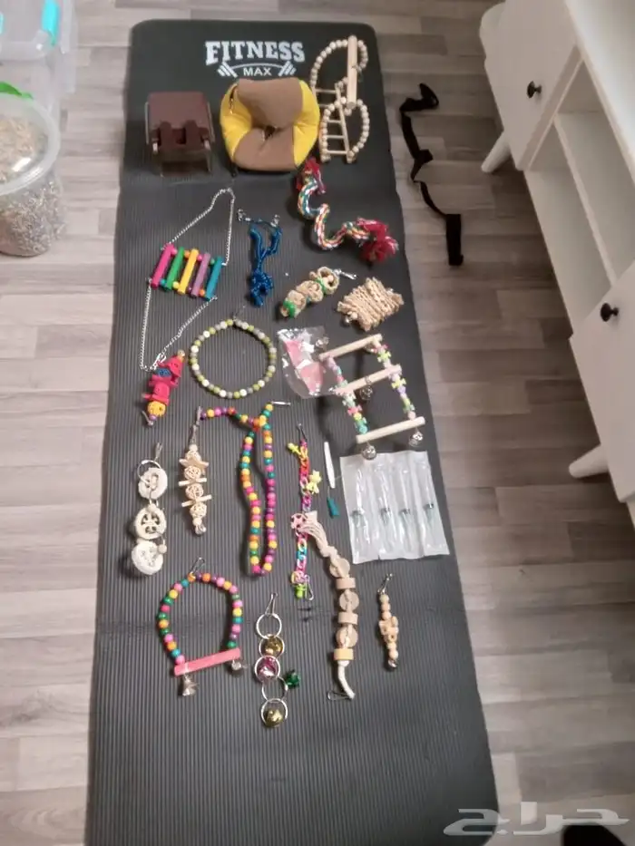 اكسسوارات ببغاء كروان وروز 2