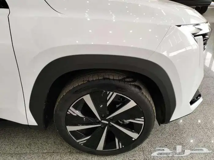 جيلي ستار راي 2024 جميع الفئات بأقل سعر 8