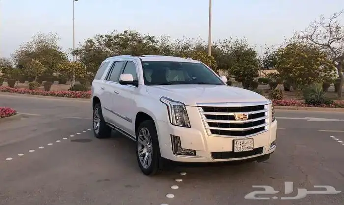 كاديلاك اسكاليد 2020 فل كامل قصير ممشي 34 ألف قليل مخزنة 3