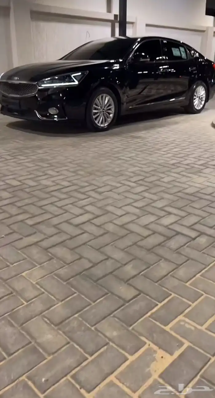 مطلوب كدنزا 2018 0