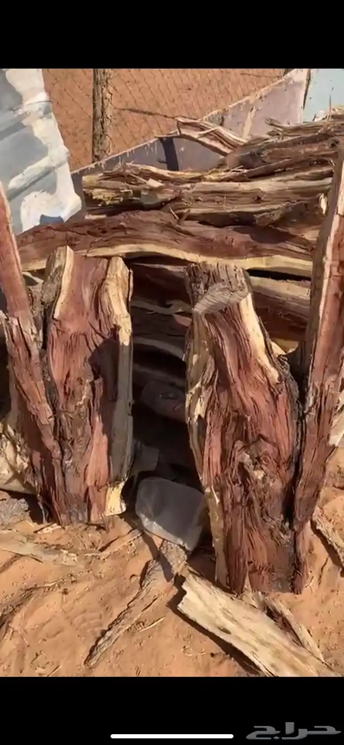 حطب مستورد يابس شرط 0