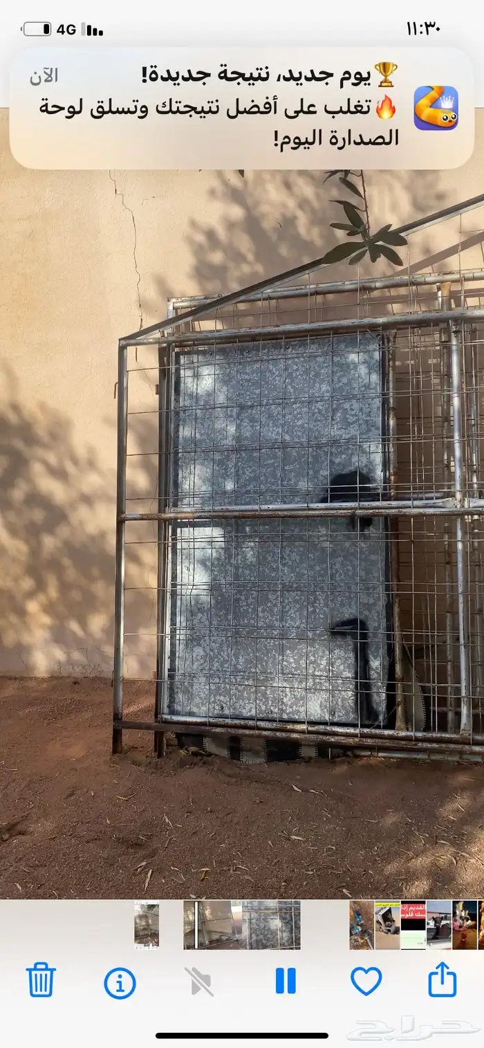 شبك   غرفه شبك 5