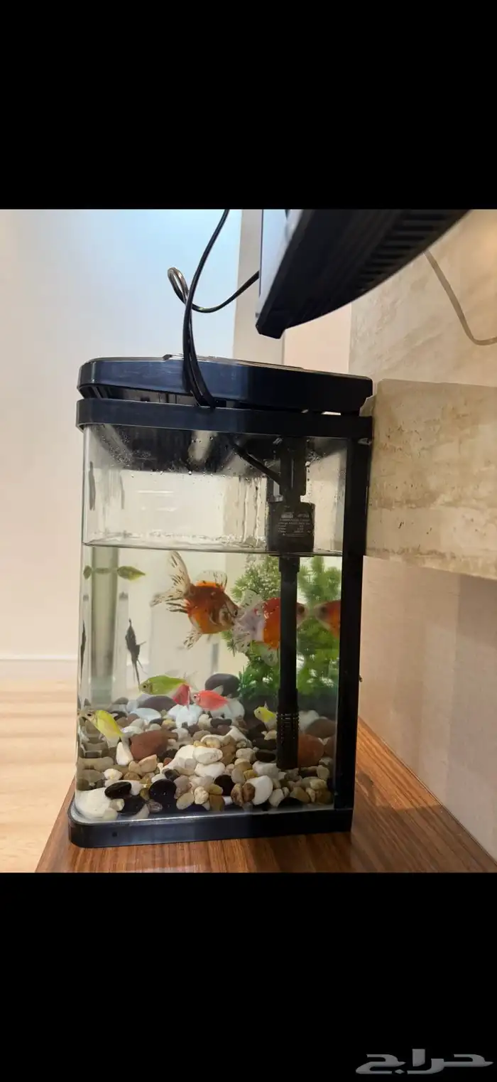 حوض اسماك 1