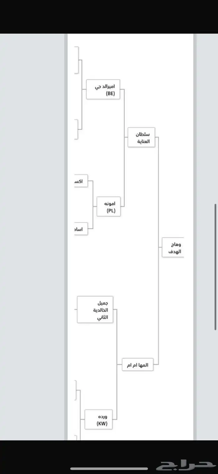 للبيع خيل عربي موثق   مولود 2023 2