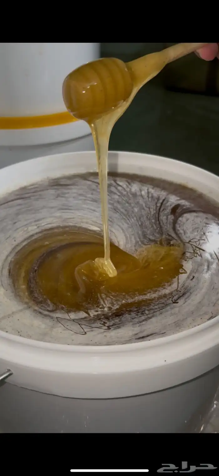 عسل سدر جودة عالية 1
