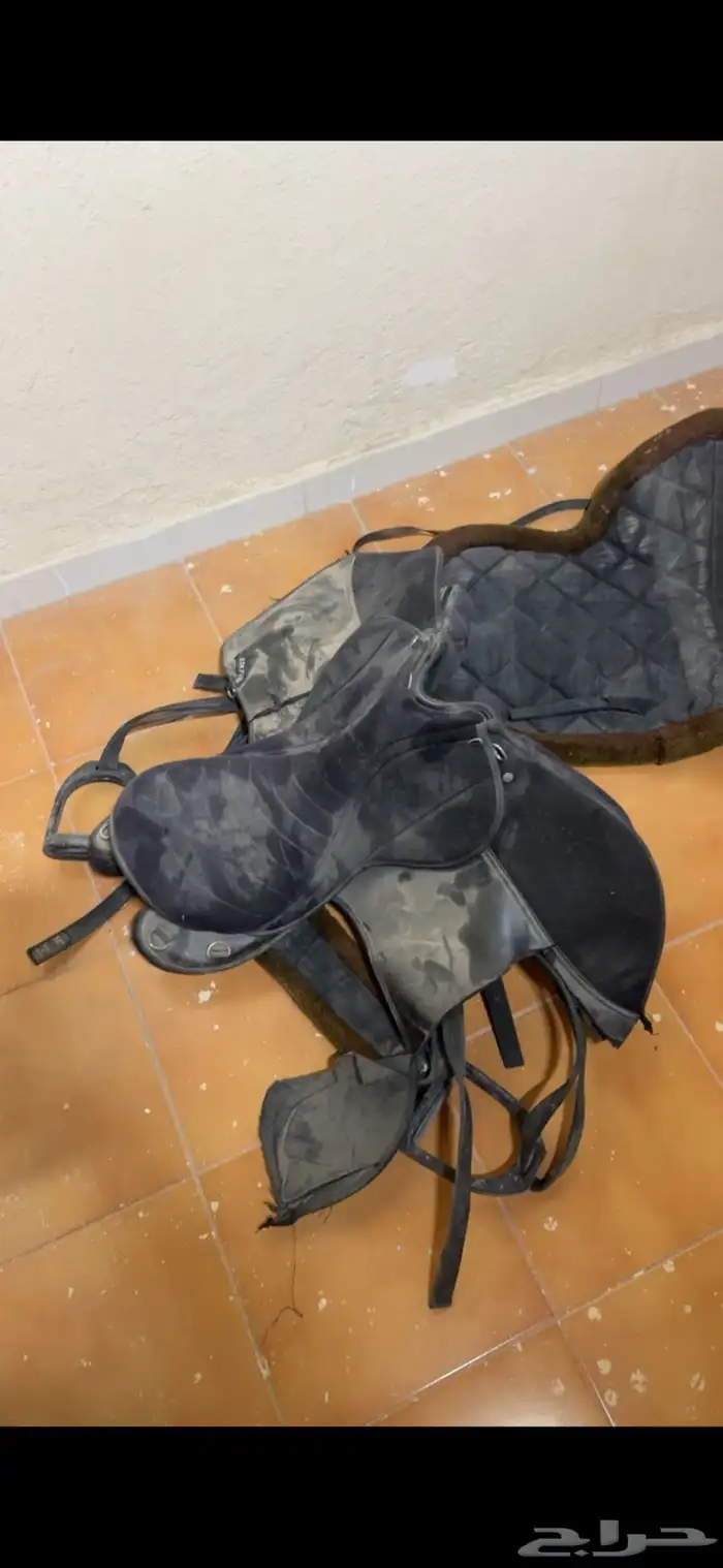 سرج ولباده ولجام استخدام شتويه وحده 1