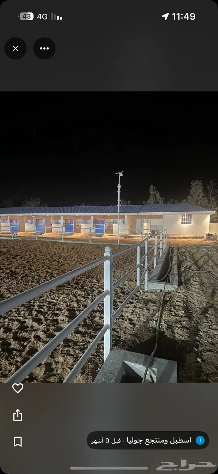 اسطبل جوليا إيواء وتدريب في المشاعلة المزاحمية 1