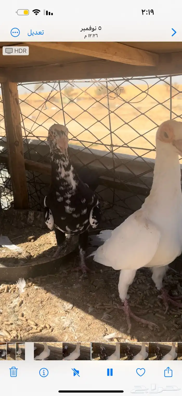 حمام كارير للبيع 1