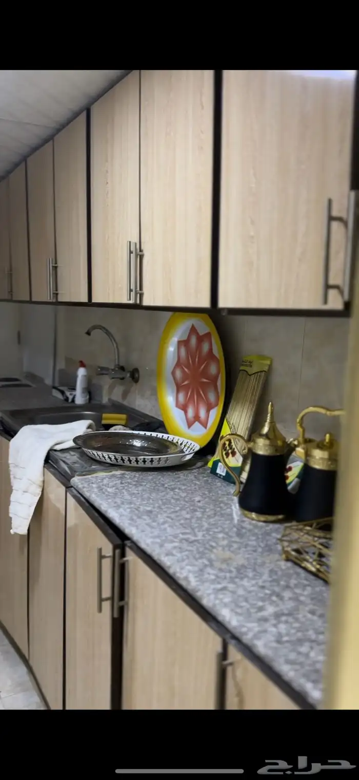 مخيم متكامل بداخل اسطبل خيل 11