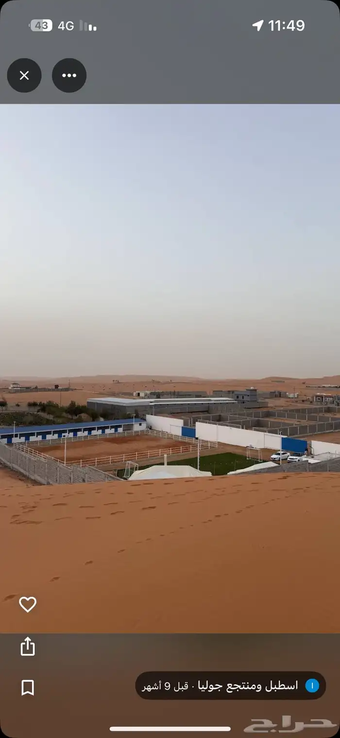 اسطبل جوليا إيواء وتدريب في المشاعلة المزاحمية 3