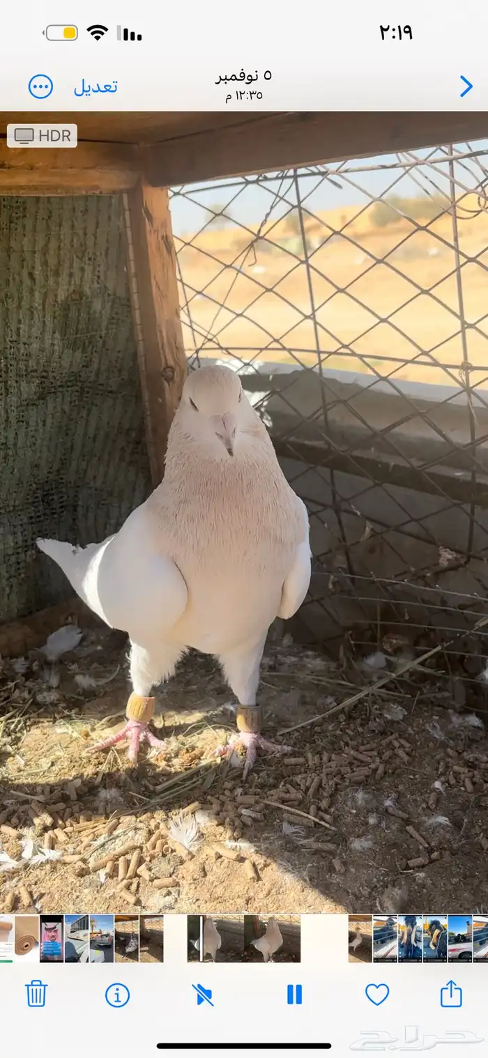 حمام سوري ريحاني للبيع 1