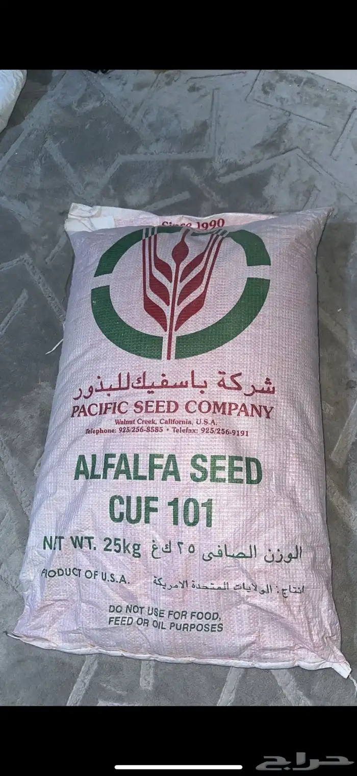 بذور برسيم امريكي 0