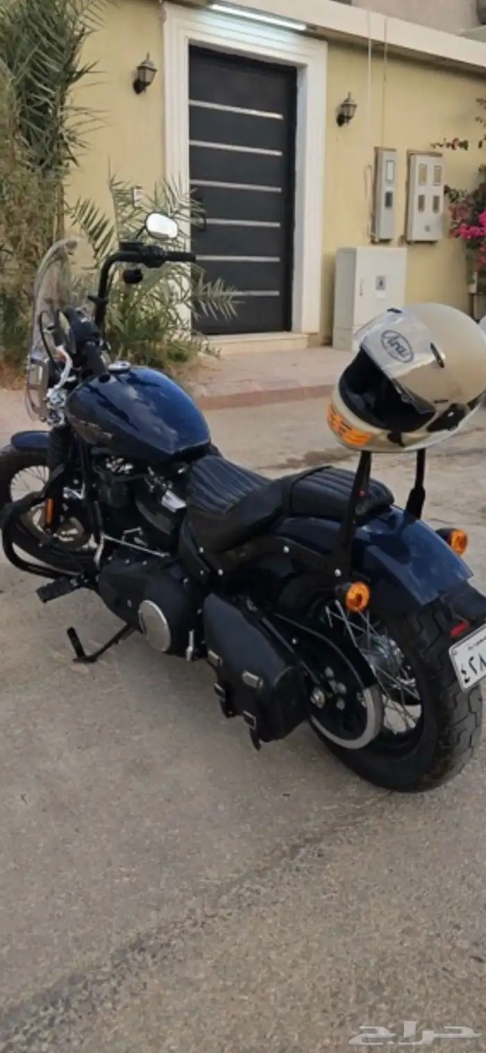 للبيع هارلي ستريت بوب 2019 0