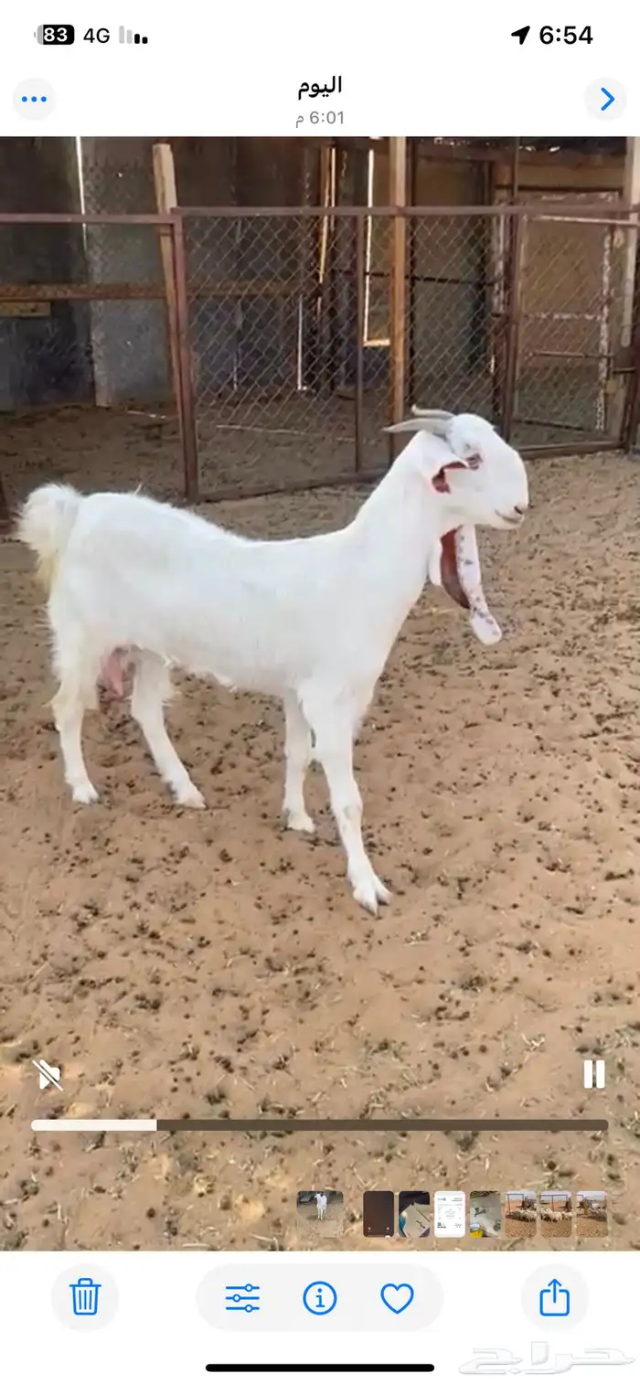 مشروكه دافع سونار 1