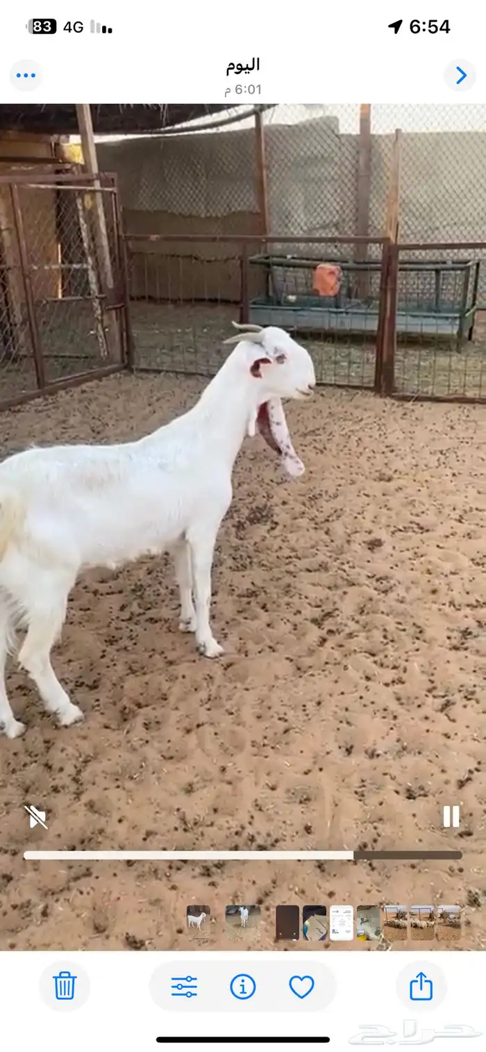 مشروكه دافع سونار 0