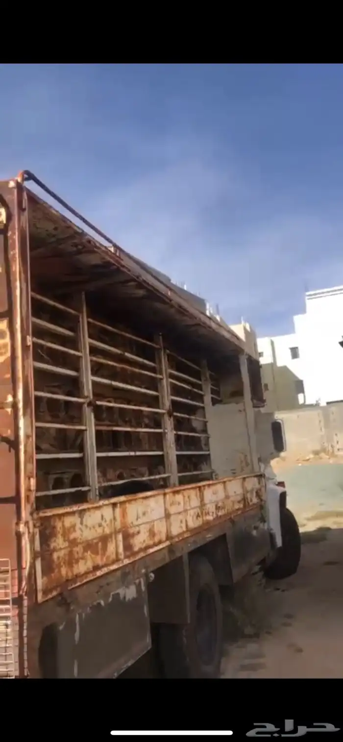 لوري ولوحه مميزه للبيع 5