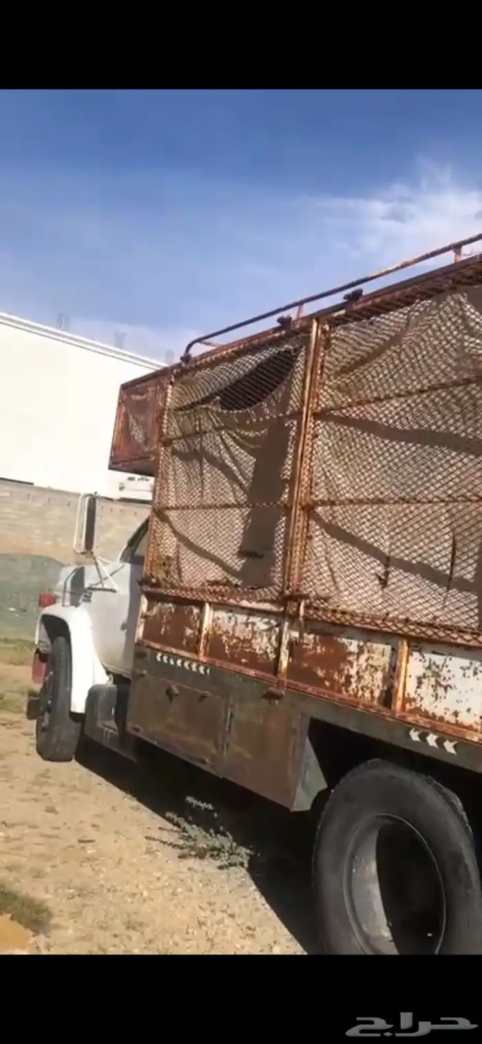 لوري ولوحه مميزه للبيع 3