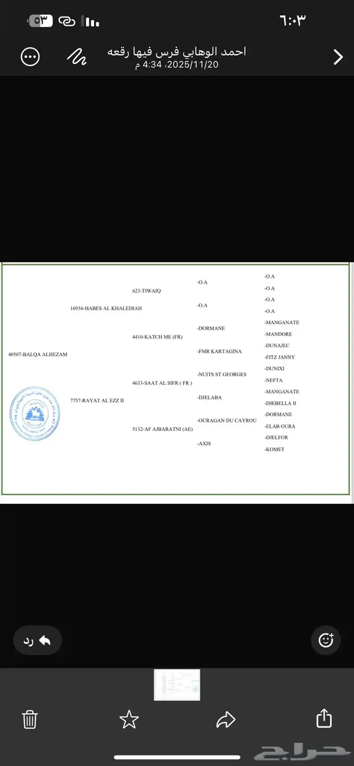 فرس تحتها مهره 3