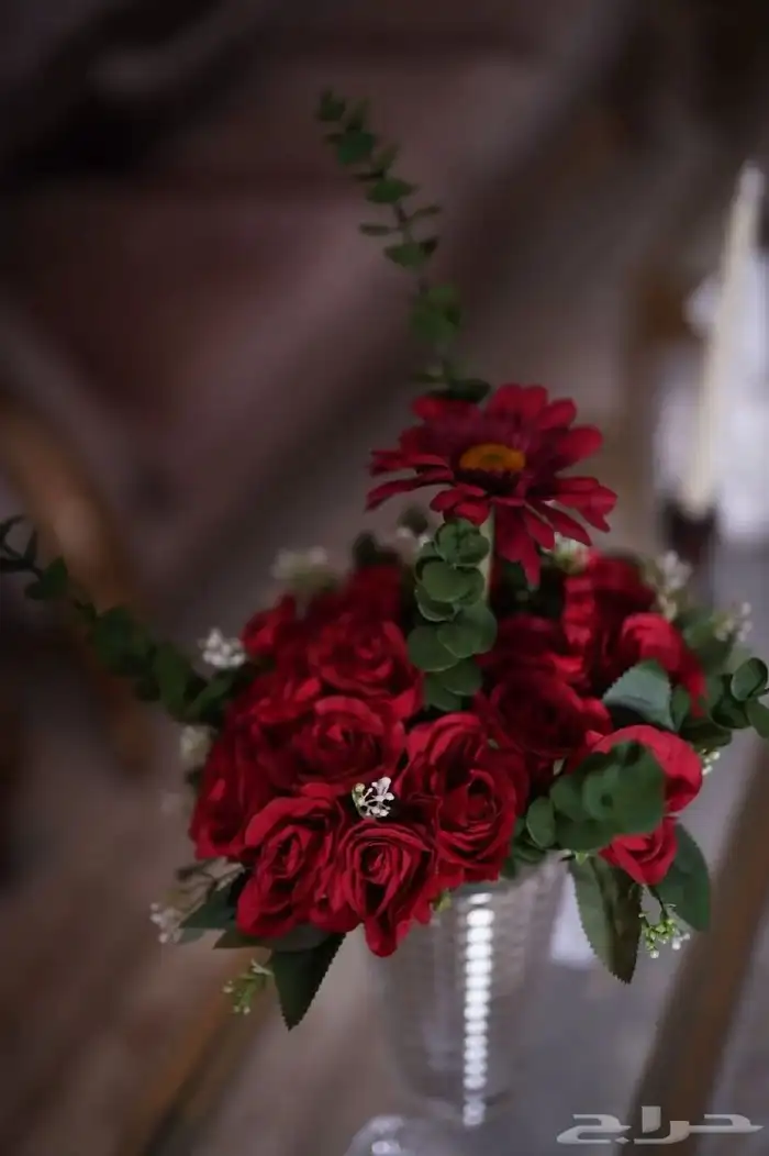 ملكه_ عقد_قران كوشه_الجوف 4