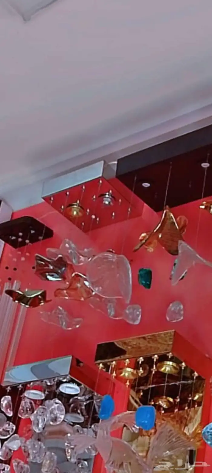 الرياض الملز 36