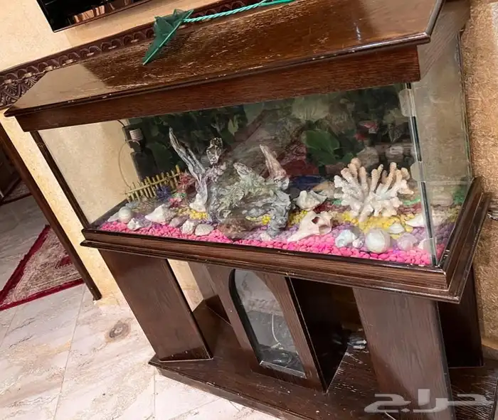 حوض سمك كبير الطول والعرض تقريبا متر وشوي 1