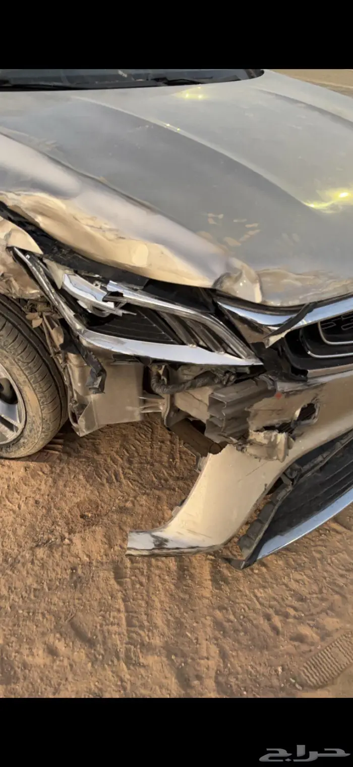 جيلي بنراي 2020 للبيع 3