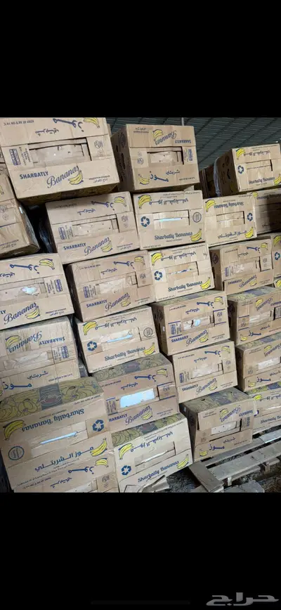 كراتين موز جديد باكياسها شربتلي index