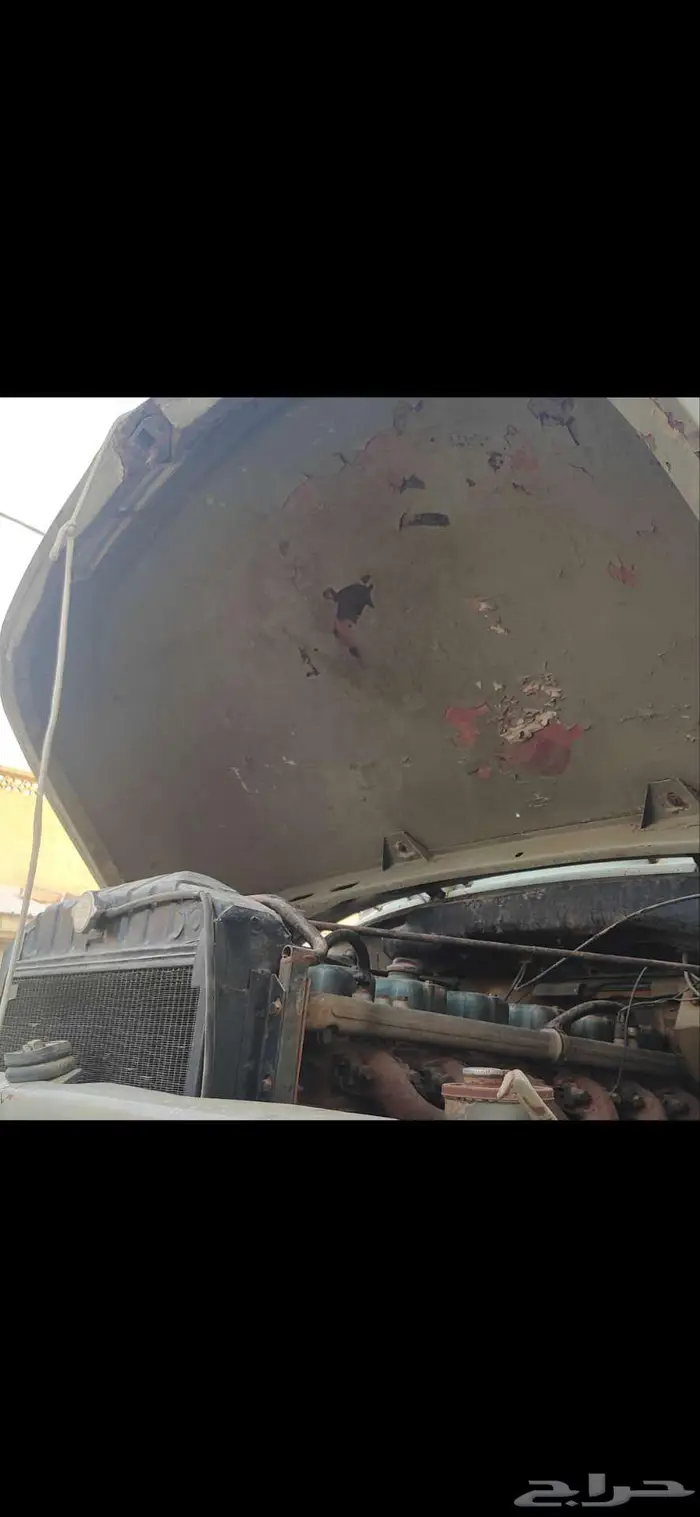 عايدي بوز 24 نظيف 18