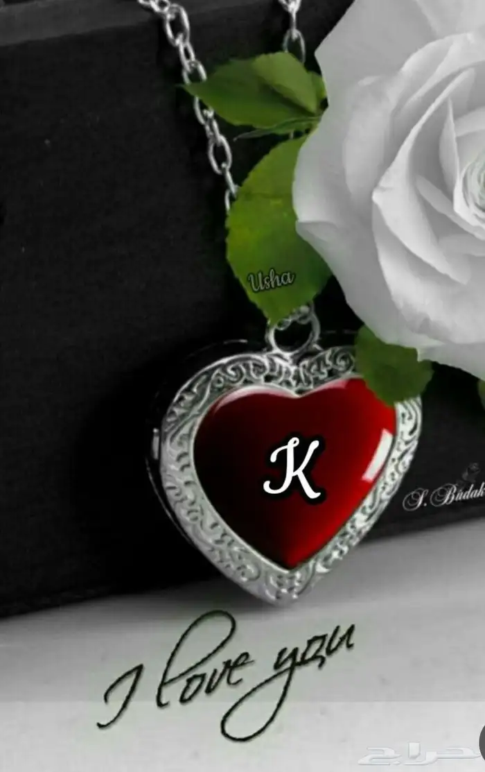 تعليم القياده ب 1000 0