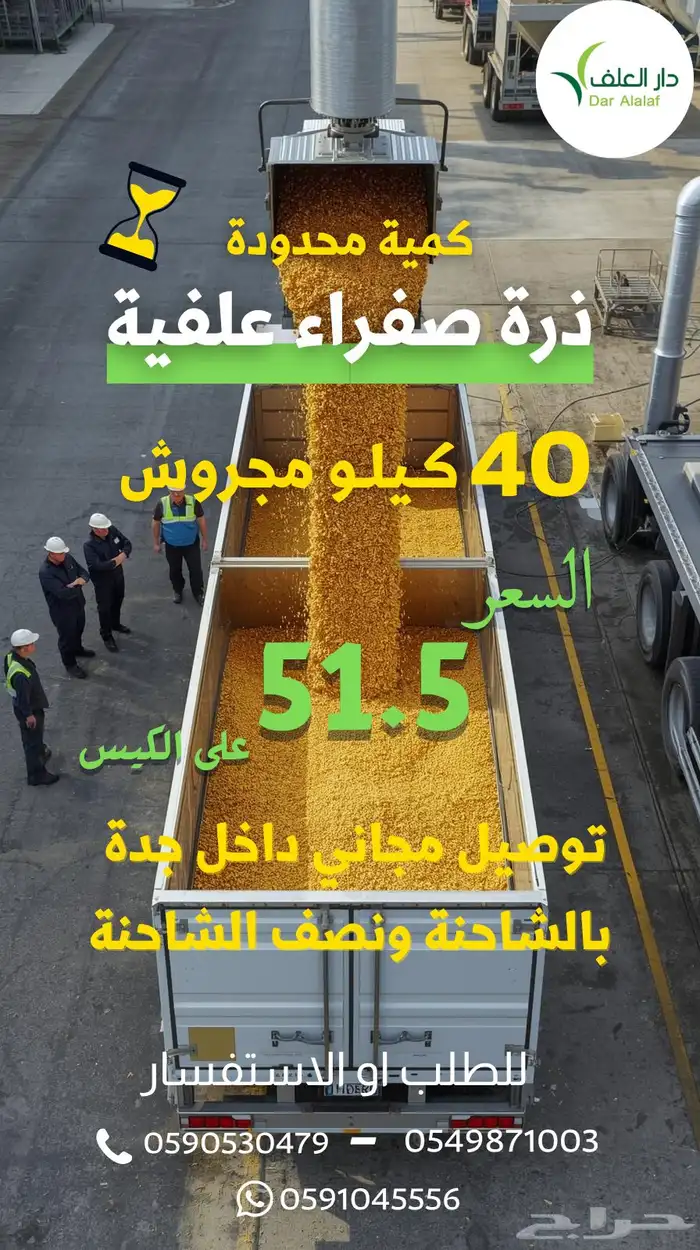 ذرة صفراء علف 0