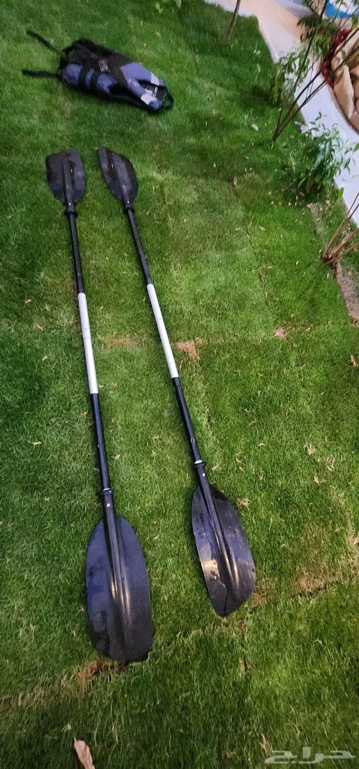 قارب كاياك كياك دولفين 12 للبيع 3