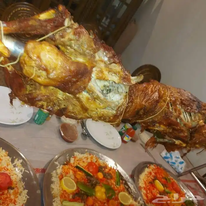 مطعم الخير يقدم خروف سيخ على الجمر 1 خروف مشوي   2   دجاج مش 7