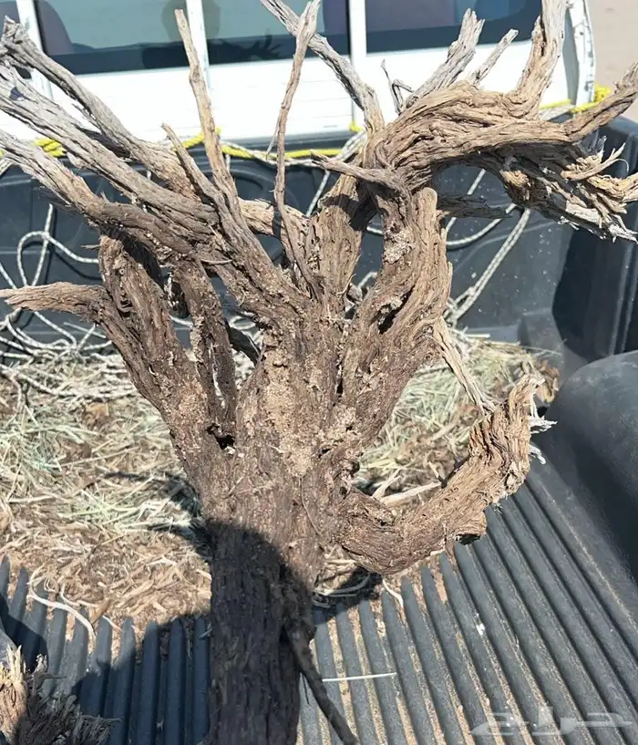 صندوق هيلكس البيع 0